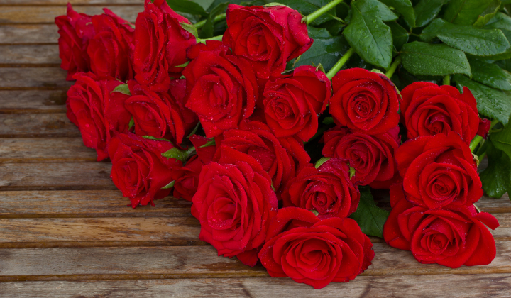 90 rokov života, skúseností a múdrosti