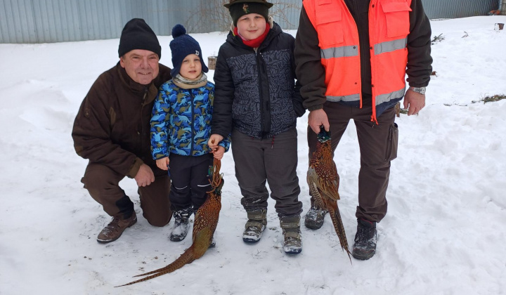Čajka 11.01.2026