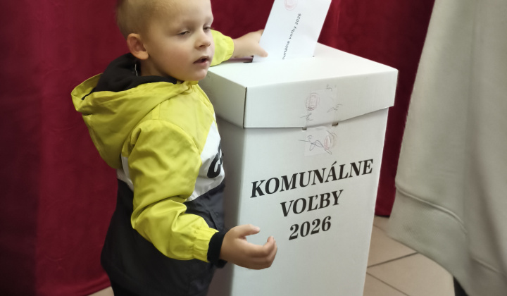 Voľby do orgánov samosprávnych krajov a orgánov samosprávy